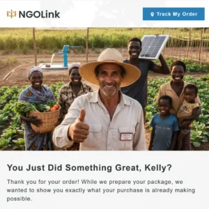 NGOLink01 - Post-Purchase Hero 01