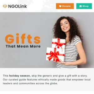 NGOLink01 - The Gift that Gives Guide 01