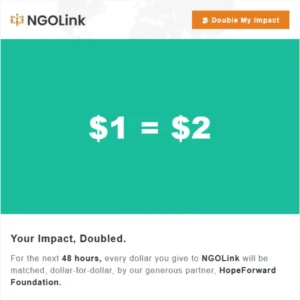 NGOLink01 - The Matching Gift Appeal 01