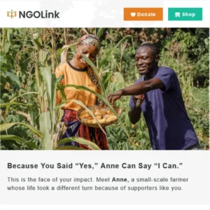 NGOLink01 - The Success Story Appeal 01