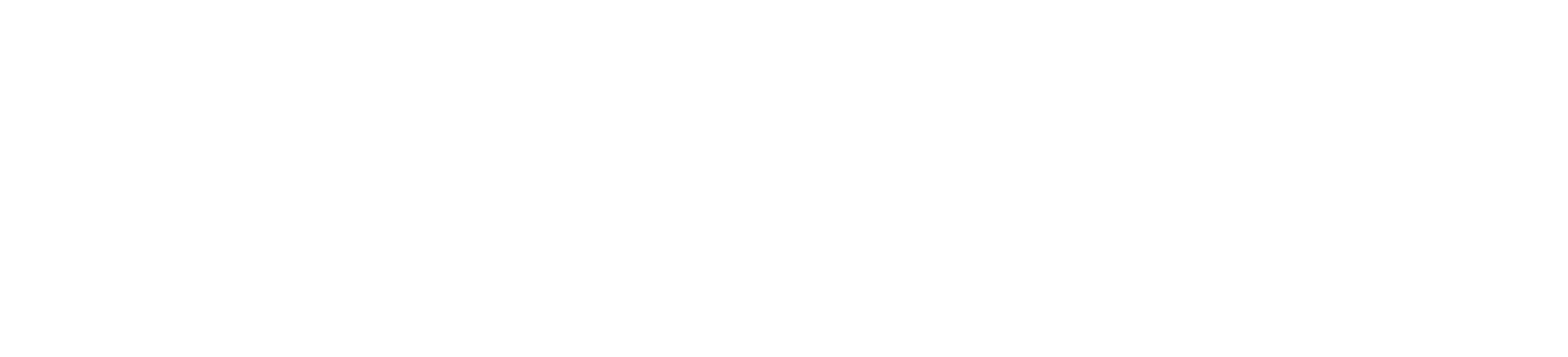 Solvintix Logo White